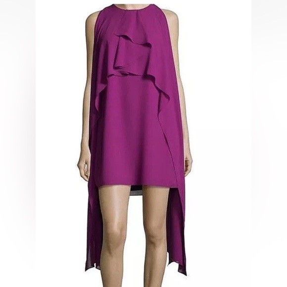 Belle Badgley Mischka Purple Tiered Sheath
Dress - Preloved - Picture 1 of 6